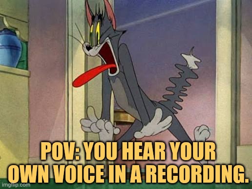 What did the bullshit i have heard