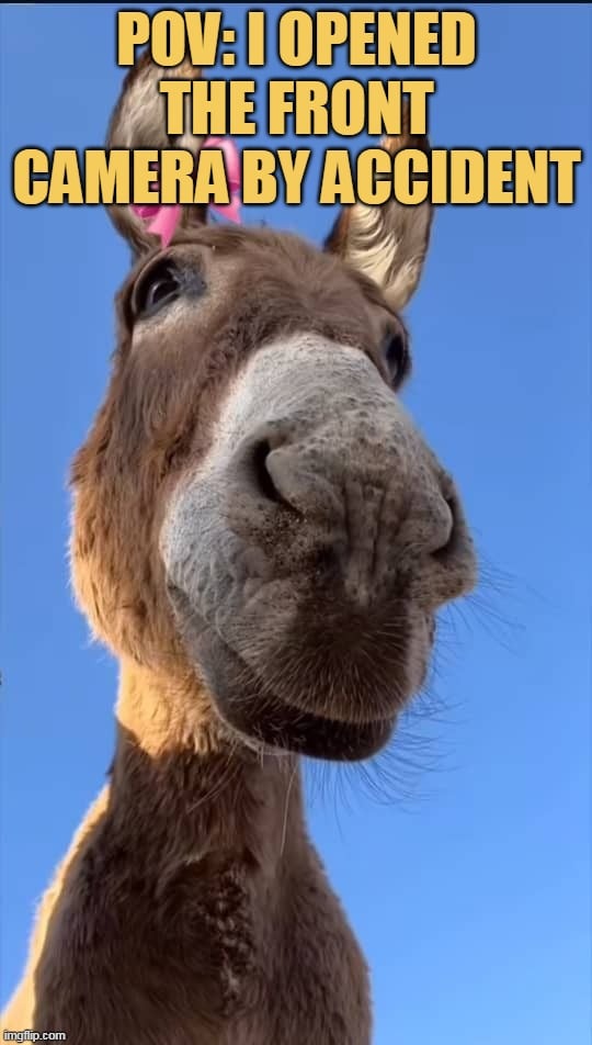 I look like this by accident