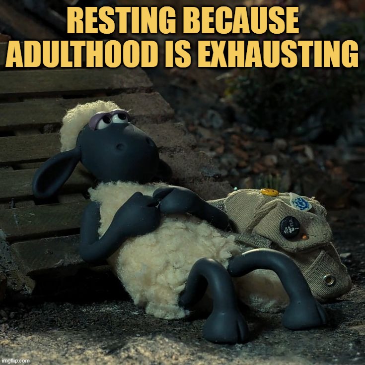 I will work after adulthood