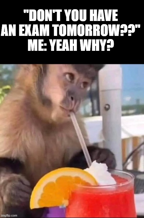 Do you have exam?
