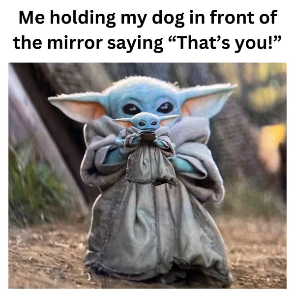 Look it is you 