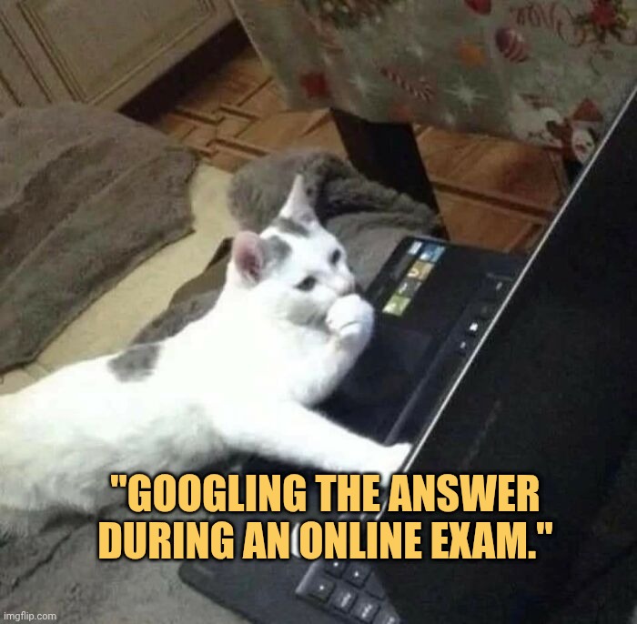 Me googling my exam answer