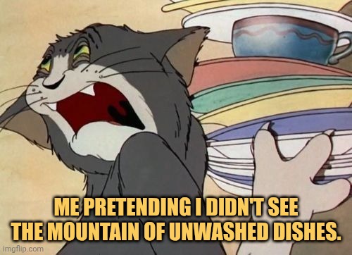 im not watching those otherwise i have to wash those meme
