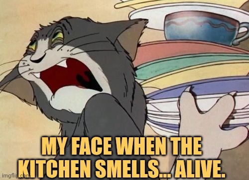 I cant smell that stinky smell