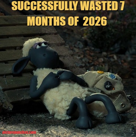 What about your progress?