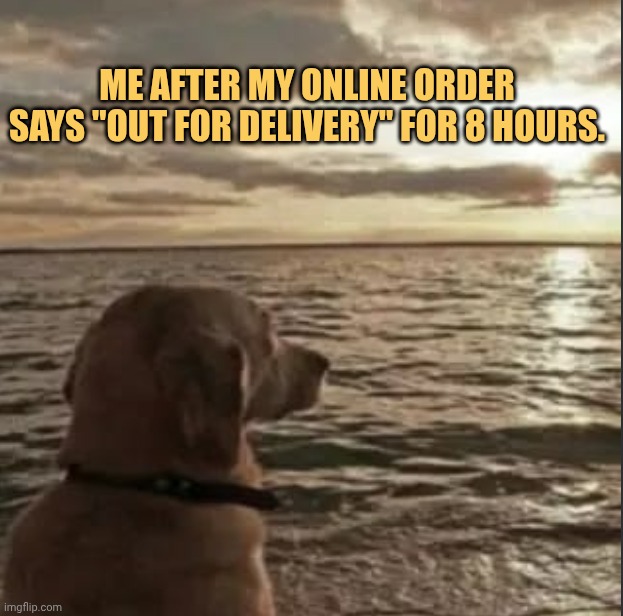 I think i got scammed
