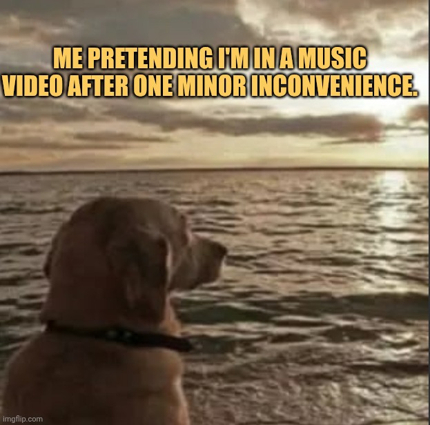 i like to think creative meme