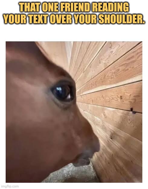 Trying to see