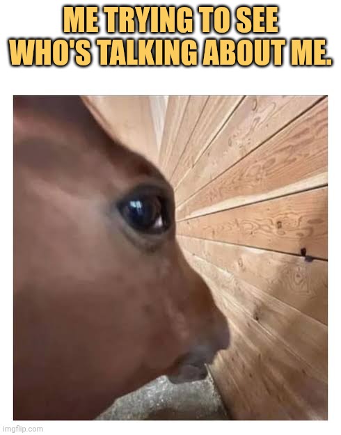 Trying to see whos bad mouthing me