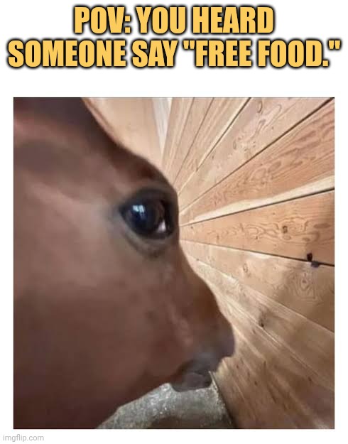 As soon as i heard free food