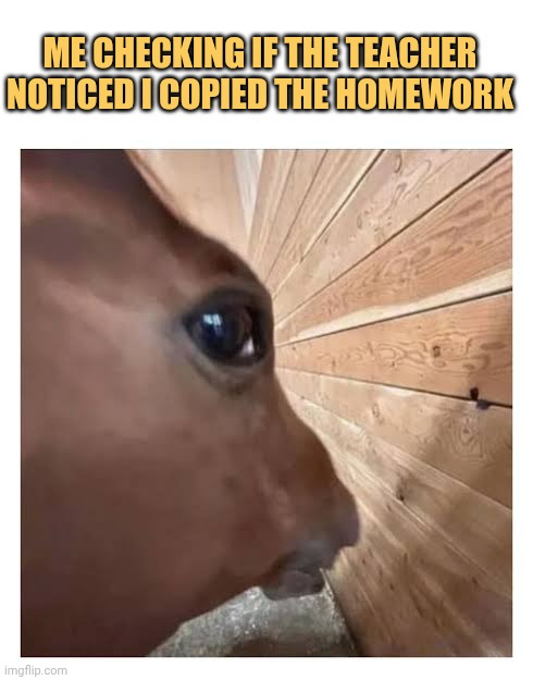 Hope sir Didn't notice that its me
