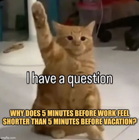 I have a question