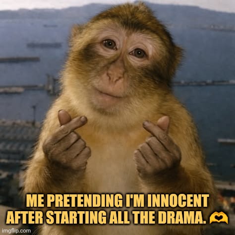 Im innocent just a pookie