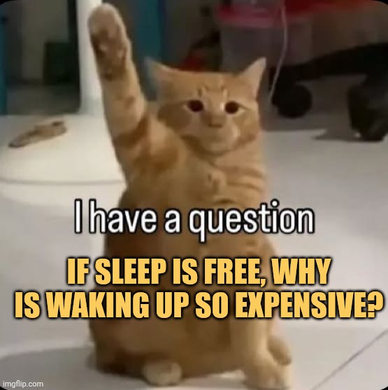 Why is that guys please answer