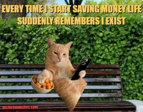 I can't save money