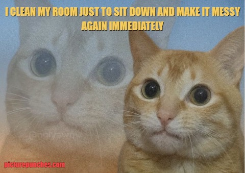 this is a delusion meme