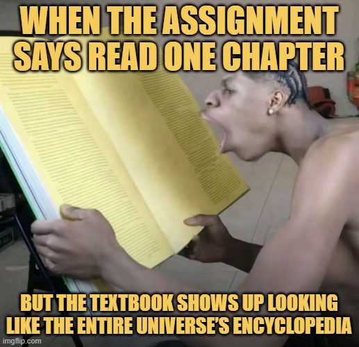 When the assignment says read one chapter. meme