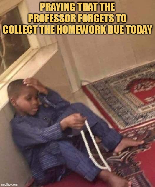 What should I do?
