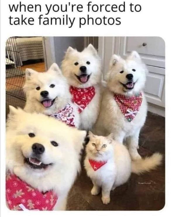 I don’t want to take family photo