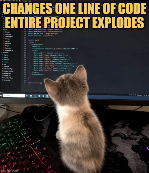 Because I am a programmer