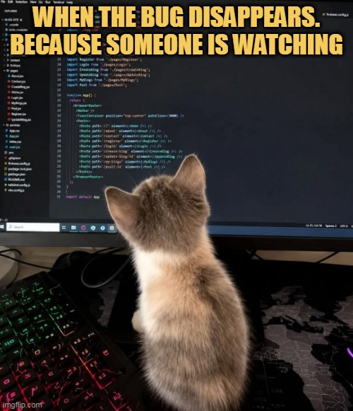Someone is watching me