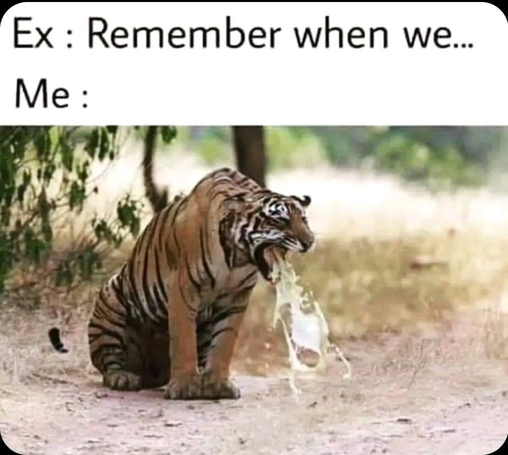 This is my Honest reaction 