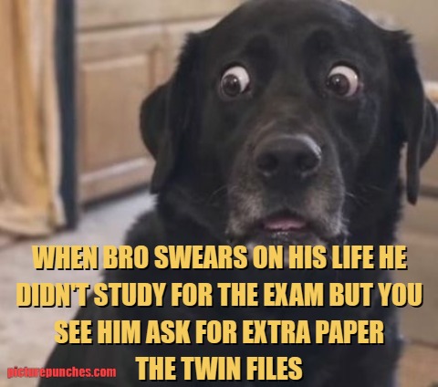 Bro lied to you