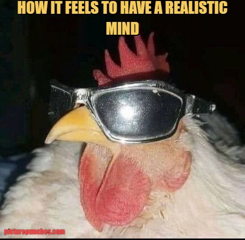 realistic mind meme