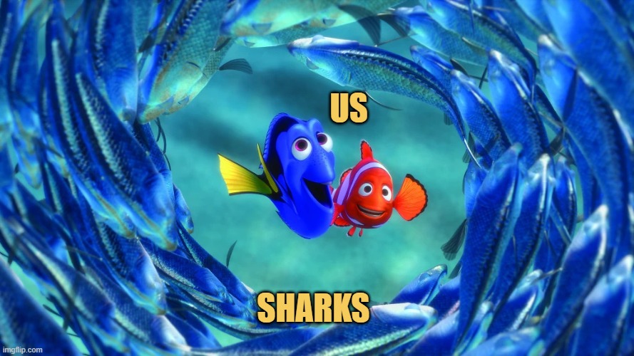 us vs sharks meme