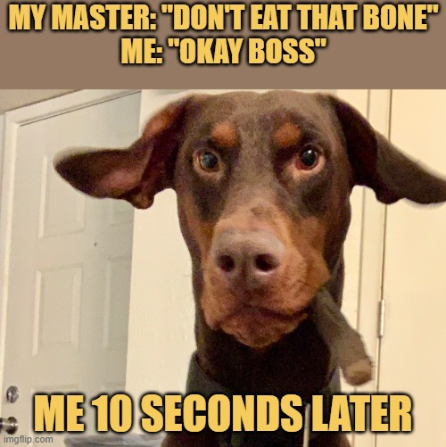me 10 seconds later meme