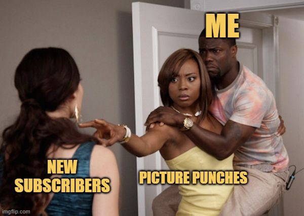picture punches protecting me from new subcribers for the're the danger meme