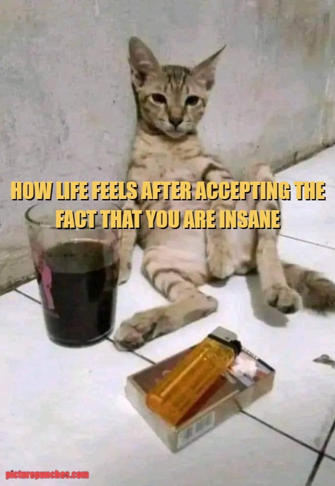 Insane life