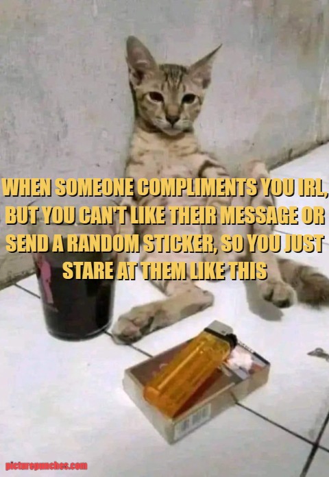 compliments