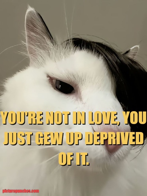 not in love