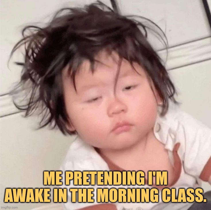 on the zoom class meme