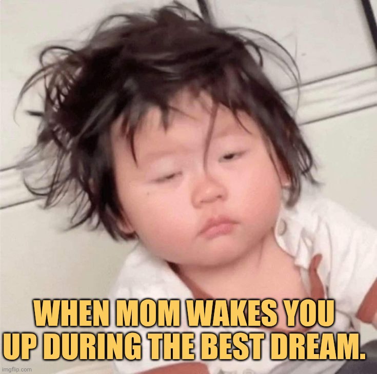 Mom woke me up during  the best dream i was seeing