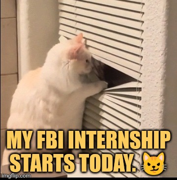 my fbi agent fond of me meme