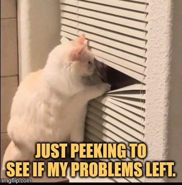 Just making sure so i cant get out