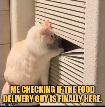 me checking for the 47th times meme