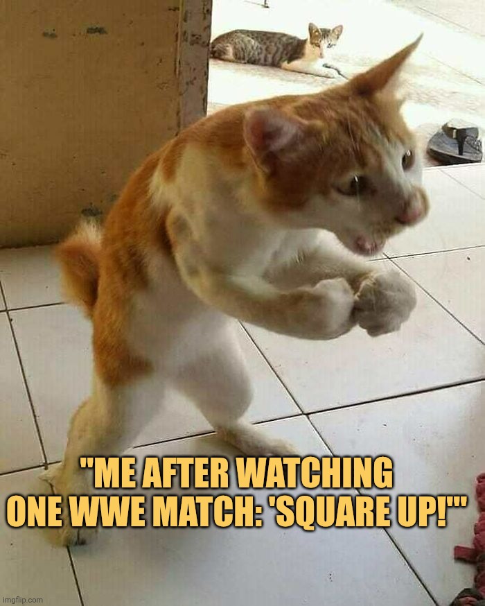 me after watching that one wwwe match meme