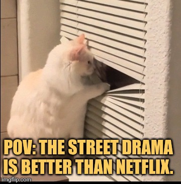 Why would i even pay Netflix my street is a better place for watching drama