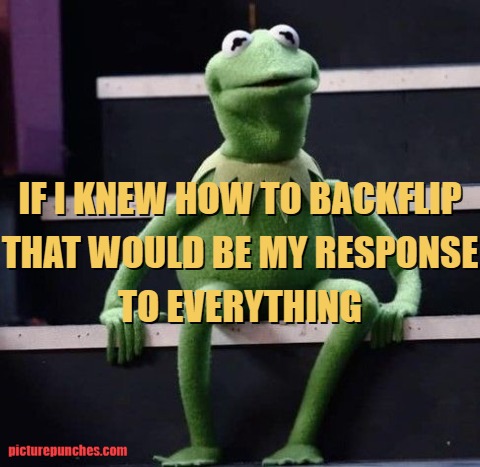 backflip response