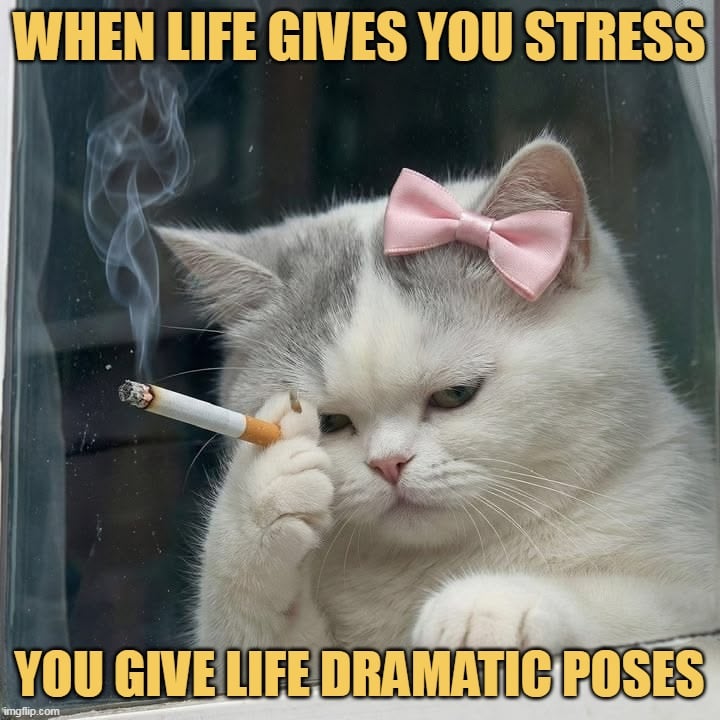I love being dramatic