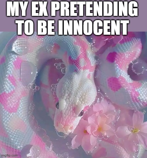 My ex