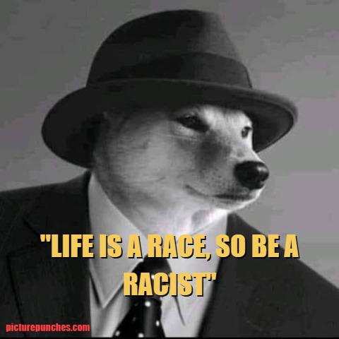 life is a race meme