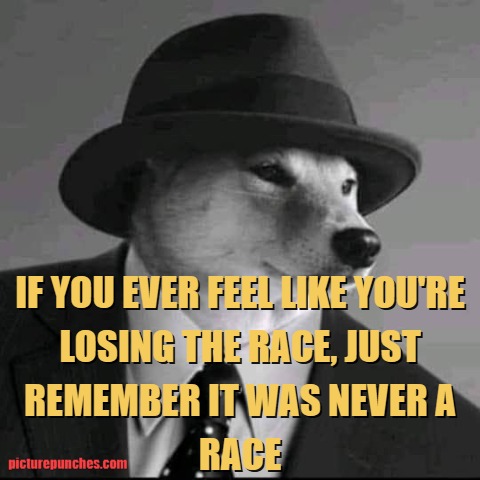 life as a race meme