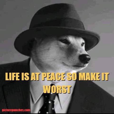 Peace and Life