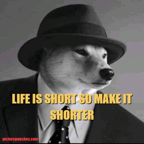 Life is short
