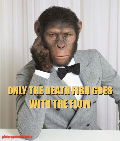 go against the flow meme