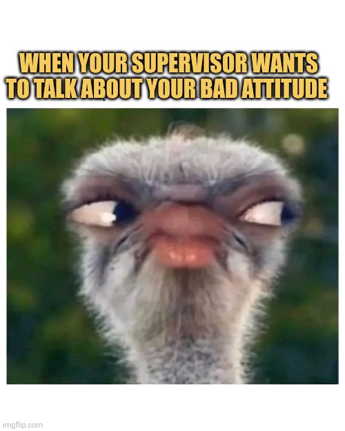 What attitude huh
